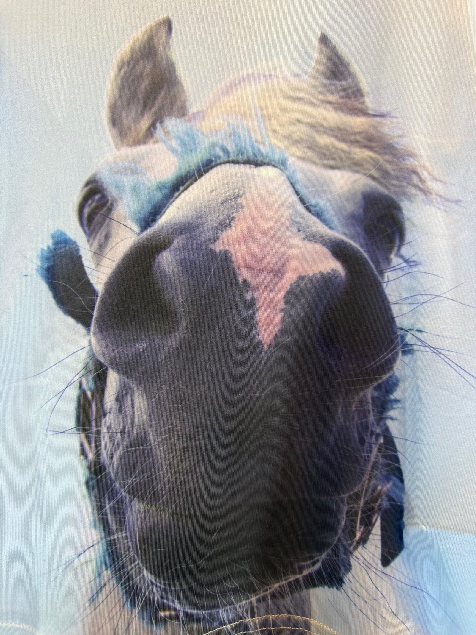 HKM Girls Team Horse Nose Tshirt - Image 2