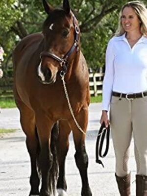 Ovation Euro Melange Knee Patch Ladies Breech