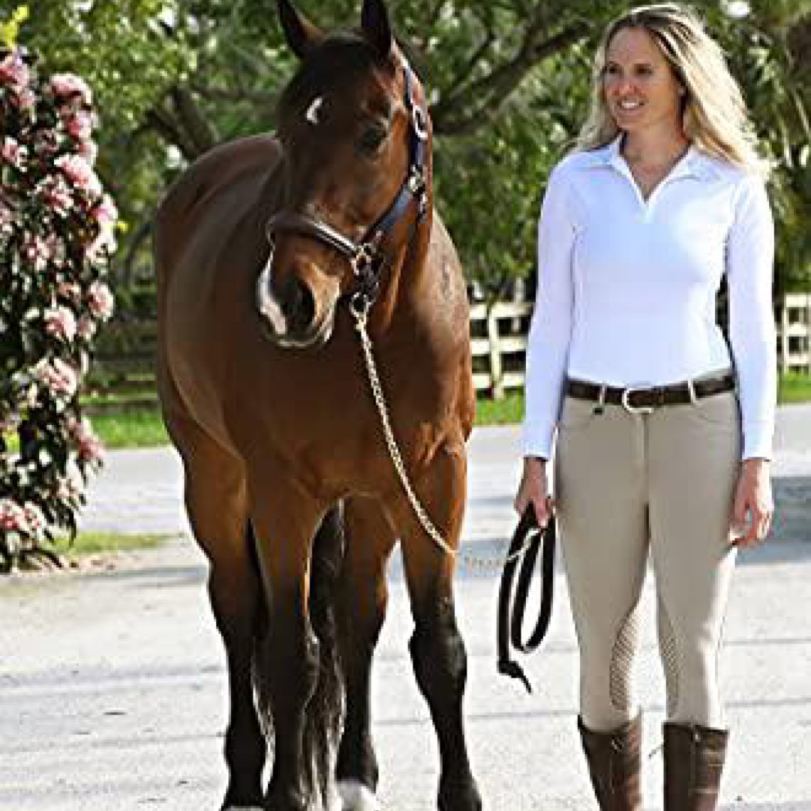 Ovation Euro Melange Knee Patch Ladies Breech