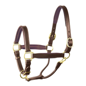 Perri's Padded Leather Halter