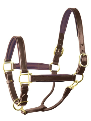 Perri's Padded Leather Halter - Pony - Havana