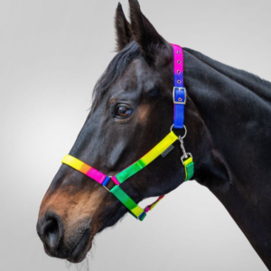 Waldhausen Neon Rainbow Halter - Pony