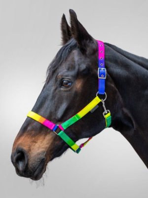 Waldhausen Neon Rainbow Halter - Pony