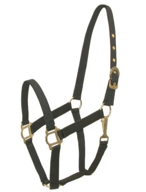 Gatsby Nylon Halter w/Snap Navy - Pony - 50% Off