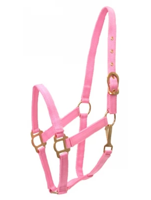 Gatsby Classic Nylon Halter w/Snap - Pink - Horse - 50% Off