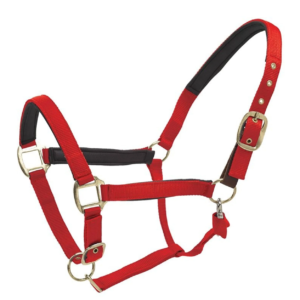 Centaur Super Padded Comfort Halter