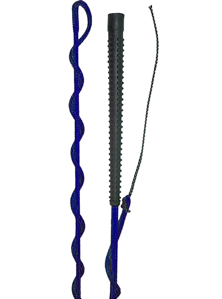 Equistar Special Lunge Whip