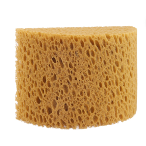 Hydra Honeycomb Body Sponge