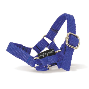 Crafty Ponies Pony Headcollar - Blue