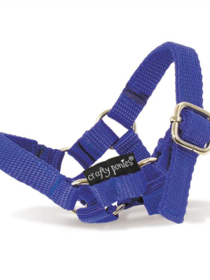 Crafty Ponies Pony Headcollar - Blue