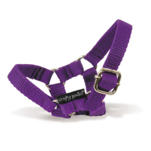 Crafty Ponies Pony Headcollar - Purple