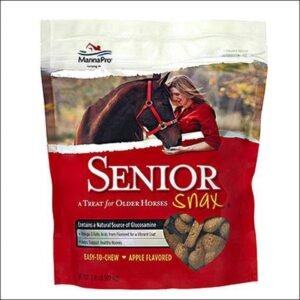 Nutrigood Senior Snax Horse Treats | Apple Flavor | Made with Omega 3 Fatty Acids in Glucosamine | 2 Pounds