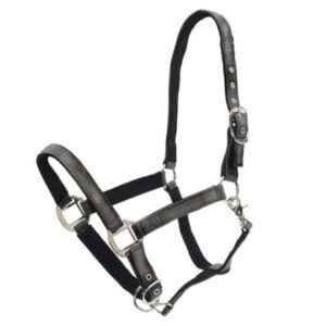 Centaur Glitter Break Away Halter - 50% Off