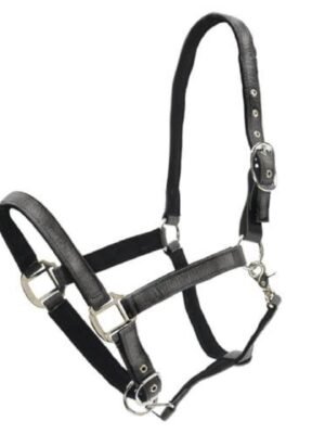 Centaur Glitter Break Away Halter - Various colors - 50% Off