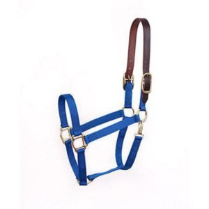 Perris Economy Safety Halter Various Colors