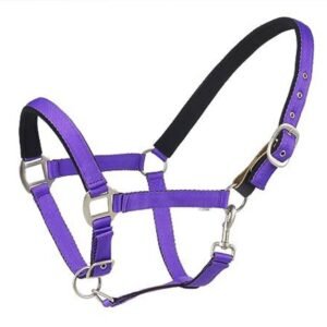 Centaur Solid Cushion Padded Breakaway Halter