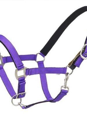 Centaur Solid Cushion Padded Breakaway Halter