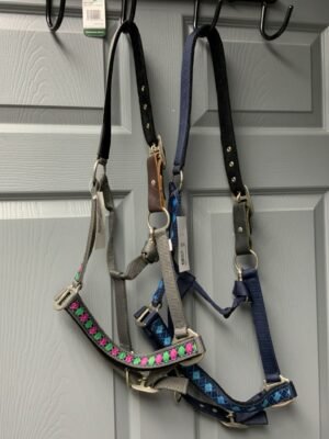 Centaur Padded Breakaway Halter