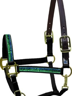 Perri's Padded Leather Halter - Pony - Black/Turquiose