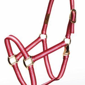Accent Premium Horse Halter - Cob