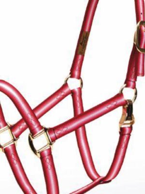 Accent Premium Horse Halter - Cob