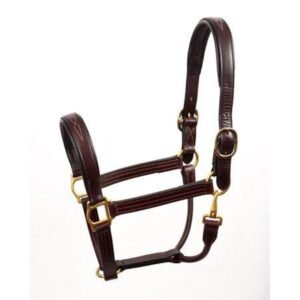 Perris Fancy Stitched Horse Leather Halter