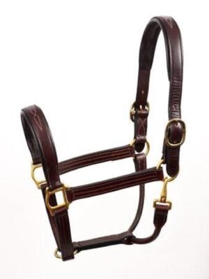Perris Fancy Stitched Horse Leather Halter (Havana) - Cob