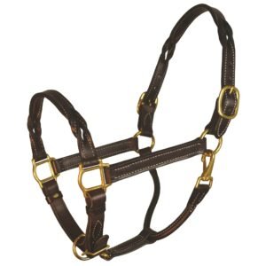 Perri's Leather Twisted Leather Halter, Havana