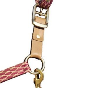 Centaur Replacement Breakaway Halter Set - Black