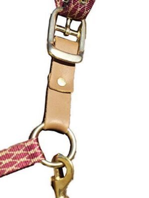 Centaur Replacement Breakaway Halter Set - Brown