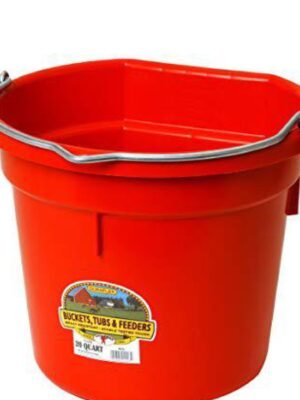 Little Giant Animal Feed Flat Back Plastic Bucket 20qt