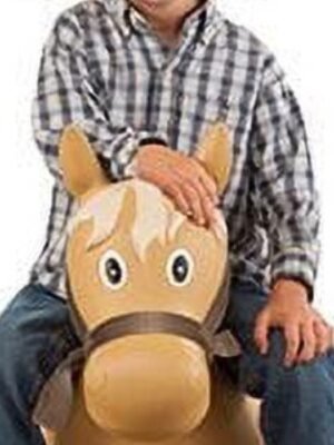 Big Country Toys Lil Bucker Horse 18-36Mo
