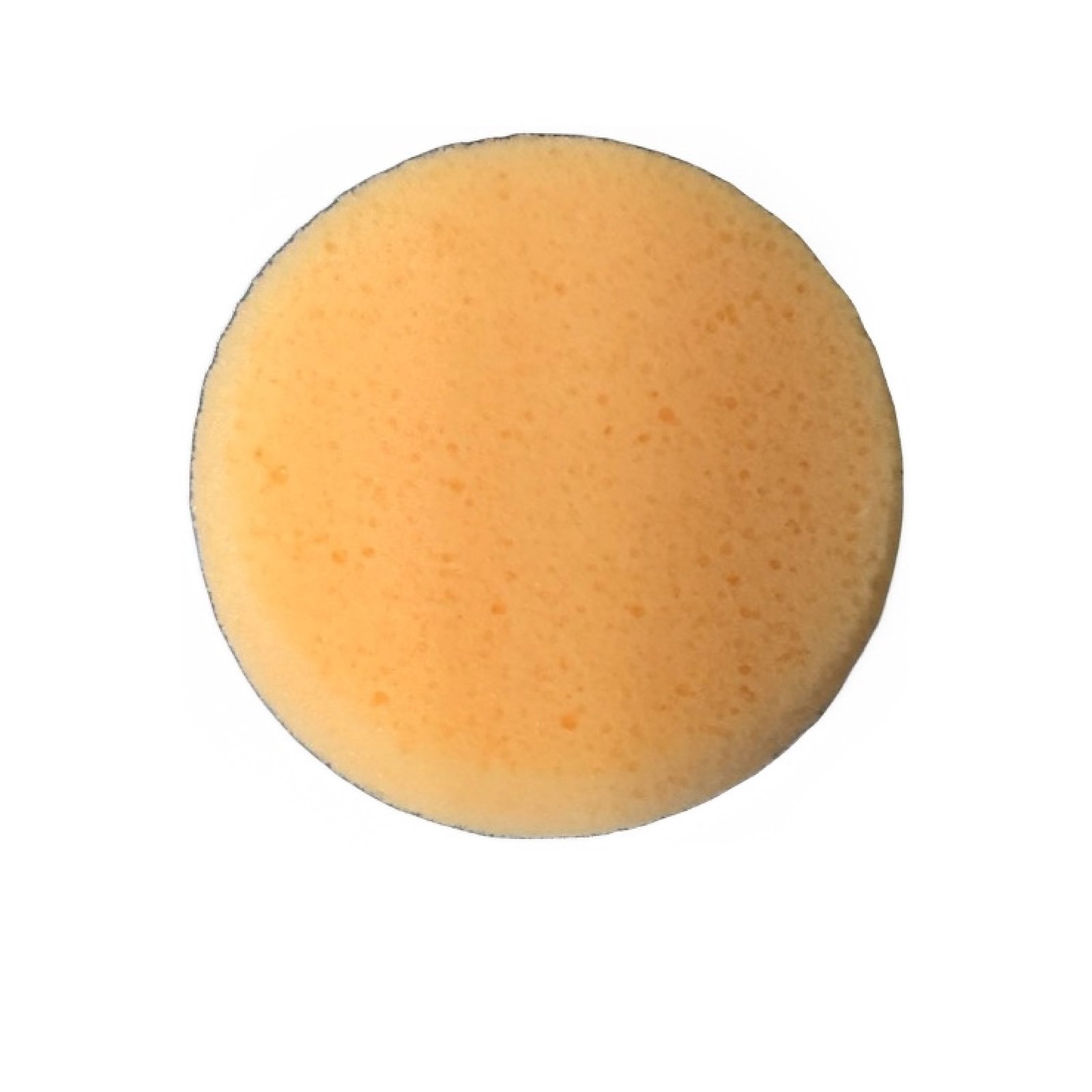 Applicator Sponge (Various colors)