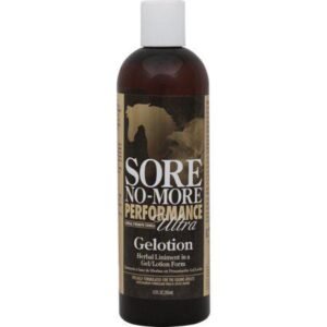 Arenus Sore No-More Performance Ultra Gelotion – 12 oz