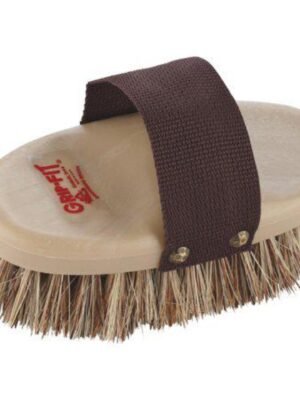 Grooming Brush Horse