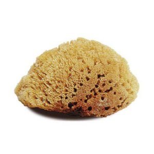 Jacks 10314 Natural Body Sponge