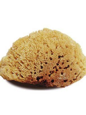 Jacks 10314 Natural Body Sponge