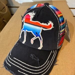 Awst Rainbow Pony Applique Baseball Hat