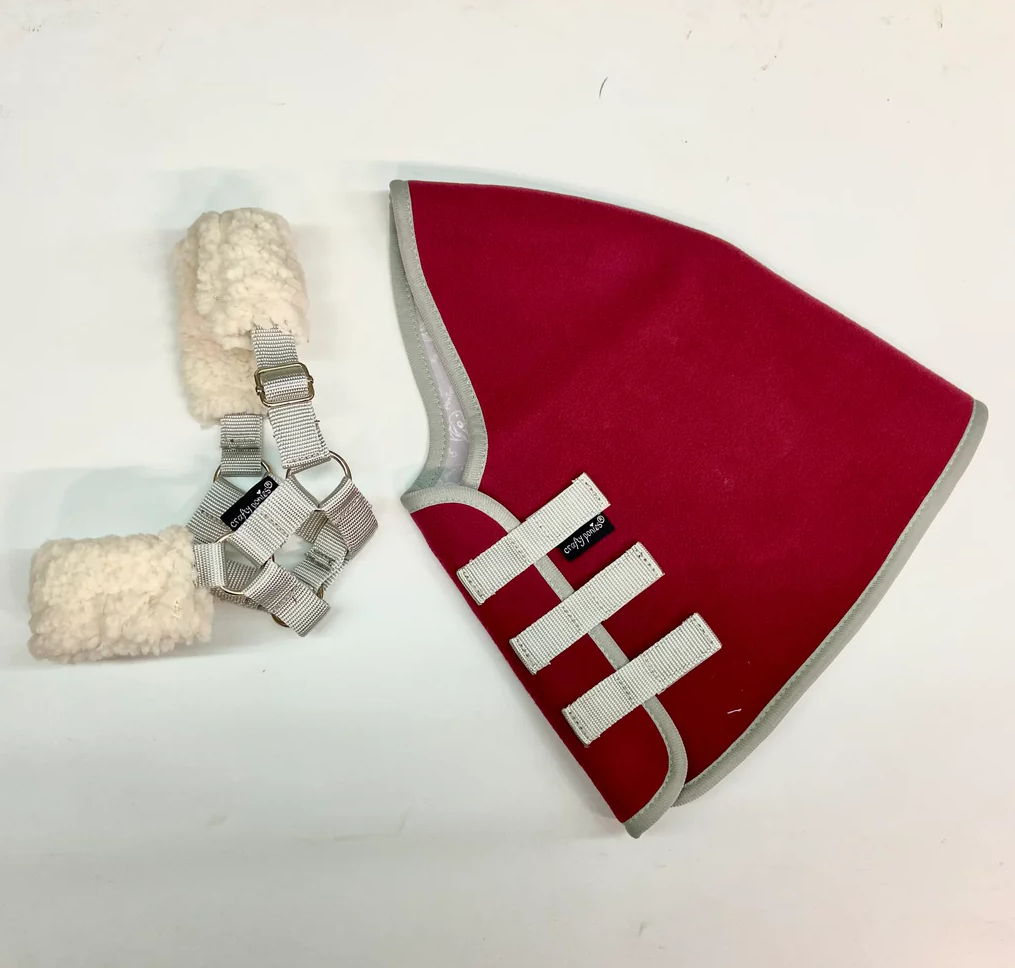Crafty Ponies Hobby Horse HeadCollar - Red