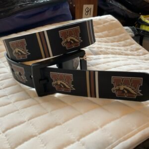 Western Michigan Belt