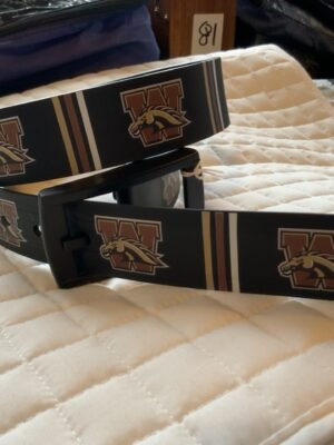 Western Michigan Belt