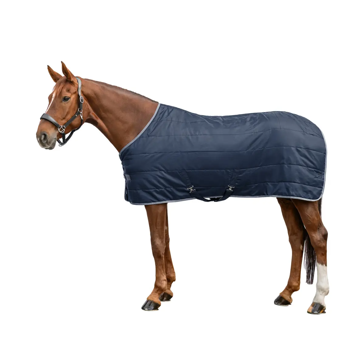 Waldhausen Stable Rug Ergonomic