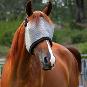 Duramask Fly Mask No Ears