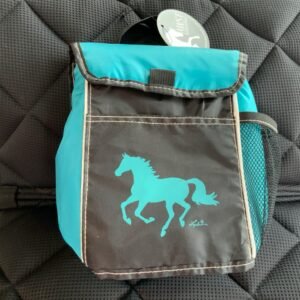 AWST Intl Small Insulated Cooler Bag Teal