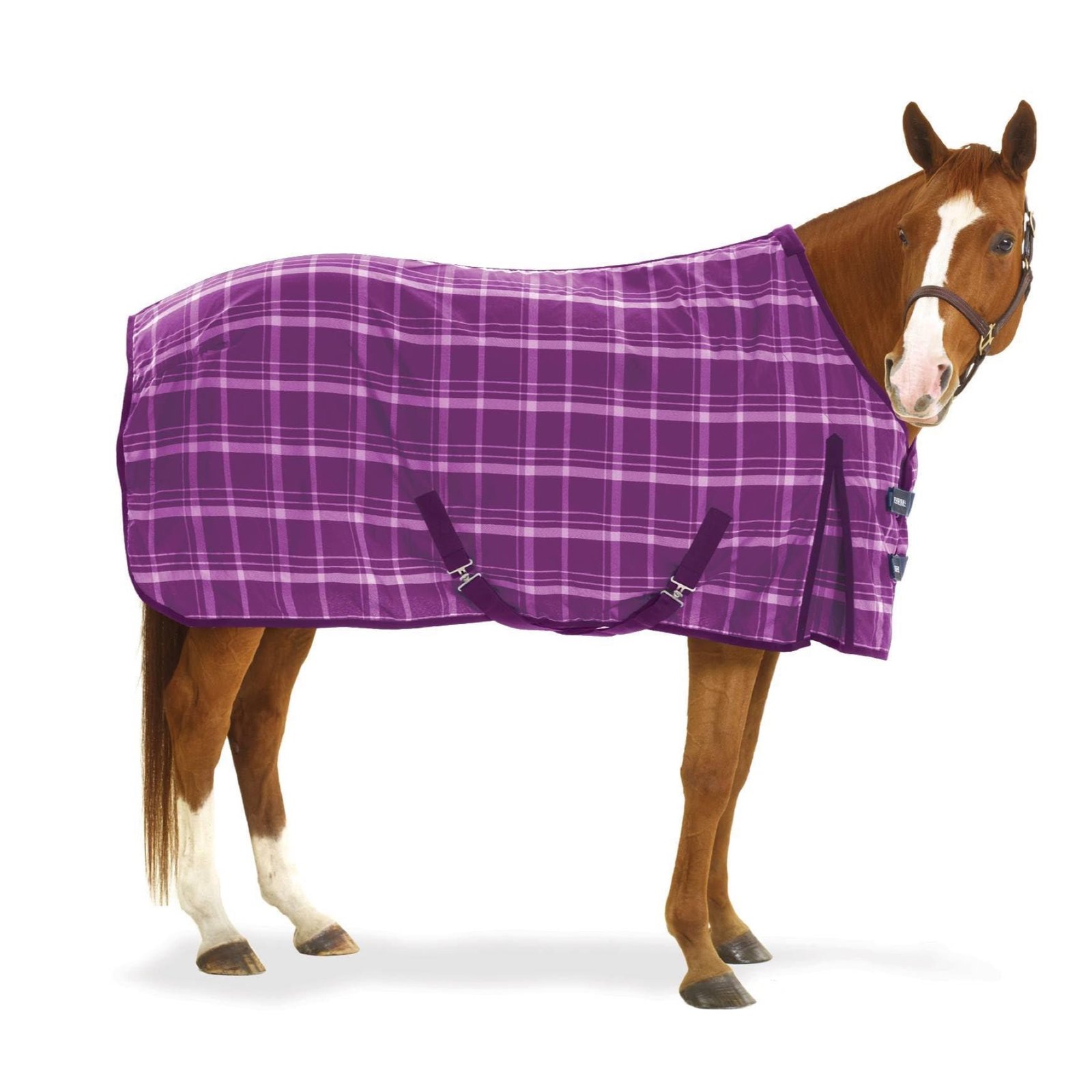 Equiessentials EQ EZ-Care Stable Sheet Plaid 72 Purple Plaid