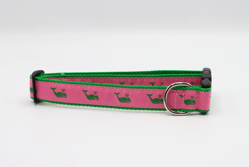 Preston Leather Dog Collar 1 1/4"