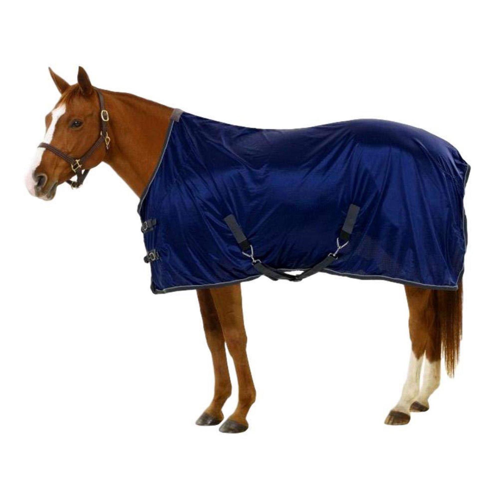 Centaur Athletic Stable Sheet
