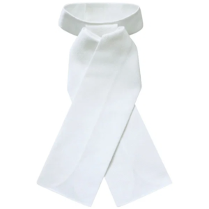 STOCK TIE PLASTERON WHITE CHD