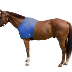 Centaur Lycra Shoulder Guard
