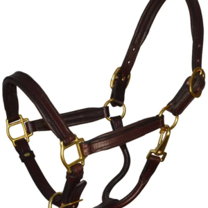 Perri's Padded Leather Halter